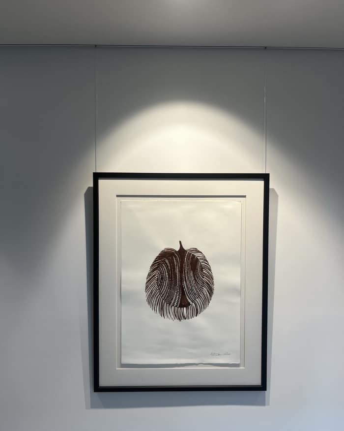 Ceiling-mounted rail with framed indigenous print